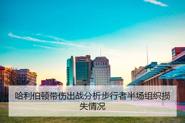 ha-li-bo-dun-dai-shang-chu-zhan-fen-xi-bu-xing-zhe-ban-chang-zu-zhi-sun-shi-qing-kuang-2-567.jpg