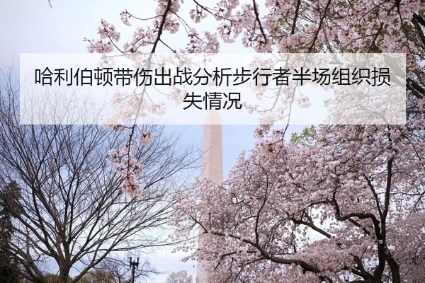 哈利伯顿带伤出战分析步行者半场组织损失情况