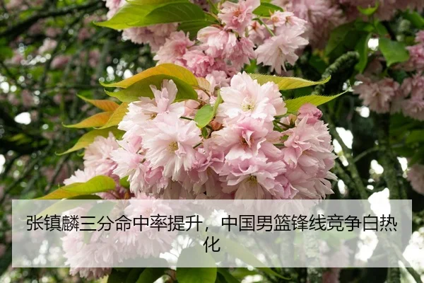 zhang-zhen-lin-san-fen-ming-zhong-lv-ti-sheng-zhong-guo-nan-lan-feng-xian-jing-zheng-bai-re-hua-3-316.jpg