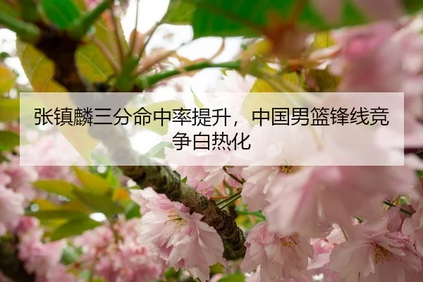 张镇麟三分命中率提升，中国男篮锋线竞争白热化